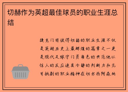 切赫作为英超最佳球员的职业生涯总结